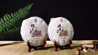 興茶視角 茶企需要爆款還是經典產品？