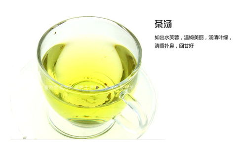 與山共飲，一葉知心——溪源茶葉產(chǎn)品圖賞與意境店鋪設(shè)計(jì)解析